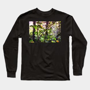 heidiannemorris,Spider web in the woods Long Sleeve T-Shirt